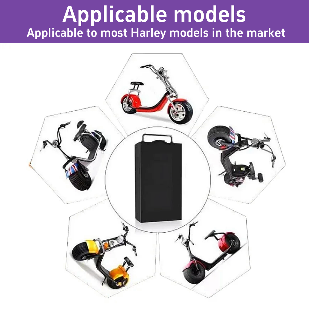 60V for Harley Electric Vehicl - đánh giá và giá 60V 30Ah Electric Scooter Battery
